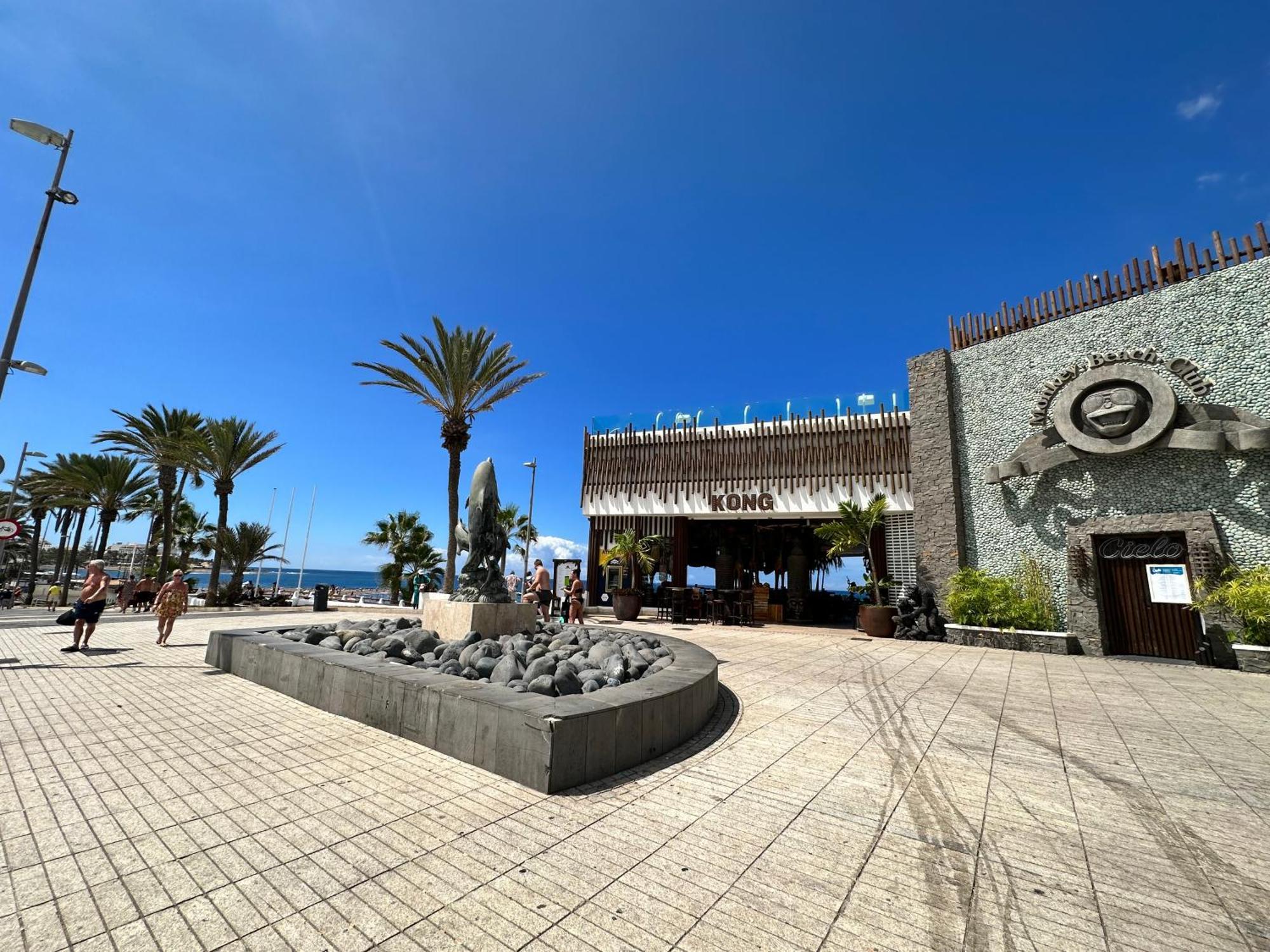 Apartamento Torres De Yomely - Y2f Playa de las Americas (Tenerife)